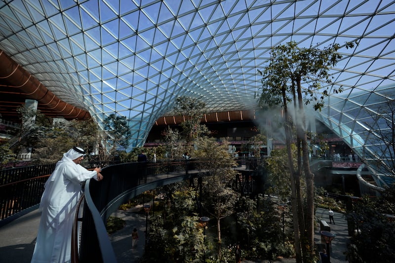 A specially designed grid-like roof allows the right amount of light into the terminal for the orchard to grow. AP