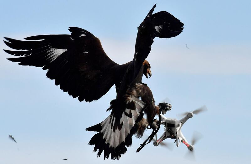 (FILES) In this file photo taken on February 10, 2017. A royal eagle catches a drone during flight during a military exercise at the Mont-de-Marsan airbase, southwestern France. London's Gatwick Airport, paralysed for more than two days after dozens of drone sightings, said it planned to reopen on December 21, 2018 for a "limited number" of flights. But police have still yet to find the operator of the drones and the airport's chief executive, Stewart Wingate, told BBC Radio 4's Today programme that the runway would close again if there was another sighting. / AFP / GEORGES GOBET
