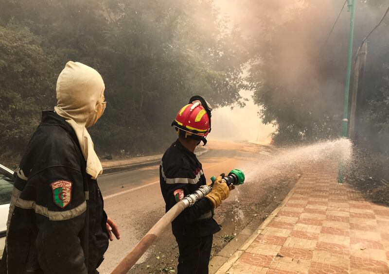 Firefighters use a hose to tackle a forest fire around Tizi Ouzou, in the Kabylie region.