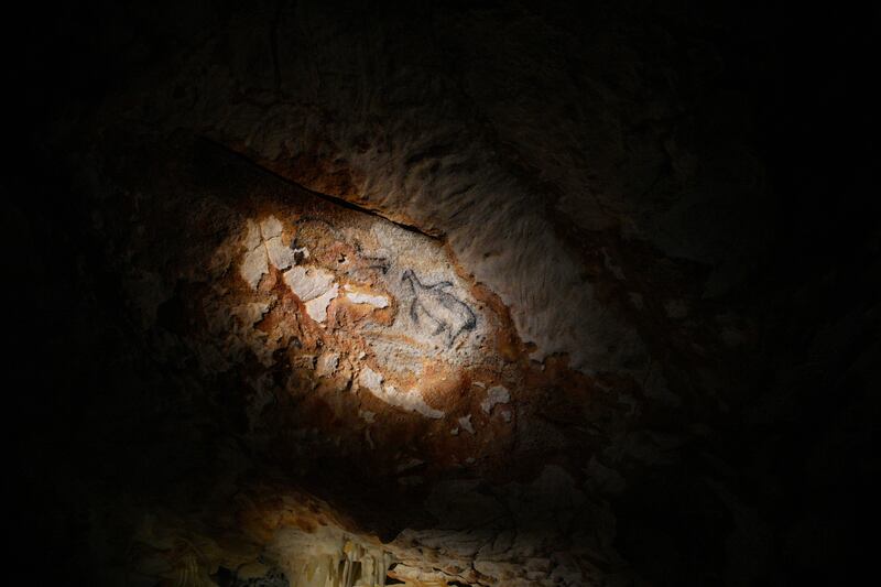 A reproduction of cave drawings is pictured in a replica of the Cosquer Cave in the Villa Mediterranee in Marseille, southern France, Thursday, June 2, 2022. All photos: AP Photo