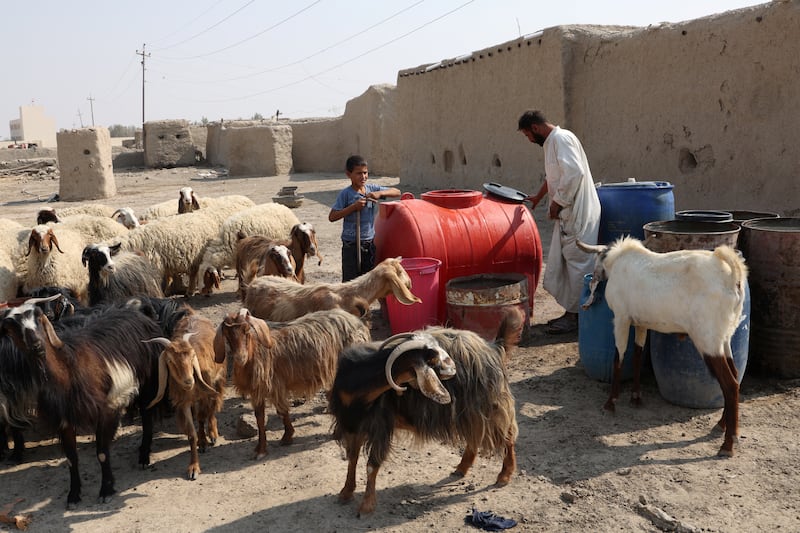 One expert said rainfall in Iraq had declined by 30 per cent over the past three decades, with the lowest precipitation coming in the last two years. ‘What was once known as the Fertile Crescent started to die about 35 years ago,’ said Nadhir Al-Ansari, a university professor in Sweden