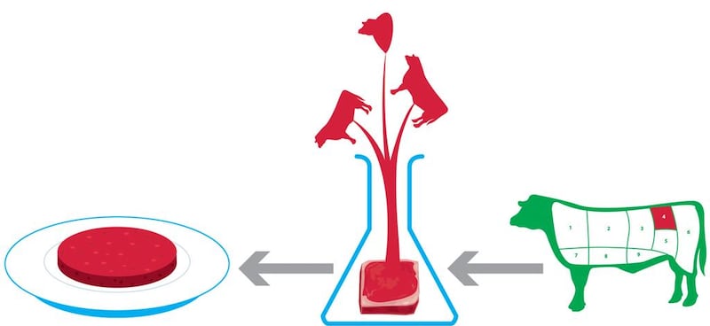 The production of the first lab-grown hamburger could have consequences for animal welfare as well as the future of our growing population's diet and conscience. Illustration by Mathew Kurian

