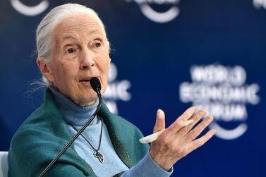 Jane Goodall said the coronavirus pandemic was caused by humanity's disregard for nature and disrespect for animals. AFP