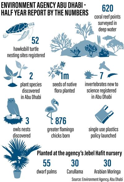 Environmental achievements in Abu Dhabi this year