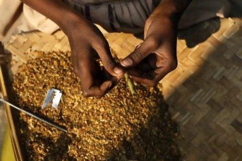 Sagira Ansari rolls bidi tobacco at her house in Dhuliyan, in West Bengal. Sagira is among hundreds of thousands of children toiling in the hidden corners of rural India.