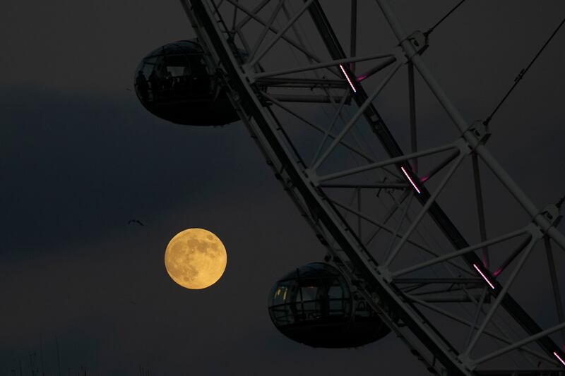 The Cold Moon rises next to the London Eye ferris wheel in the UK capital. AP