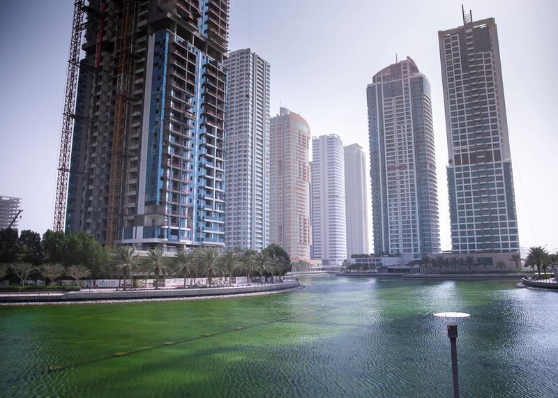 DUBAI, UNITED ARAB EMIRATES. 25 SEPTEMBER 2019. 
JLT Lake.

(Photo: Reem Mohammed/The National)

Reporter:
Section: