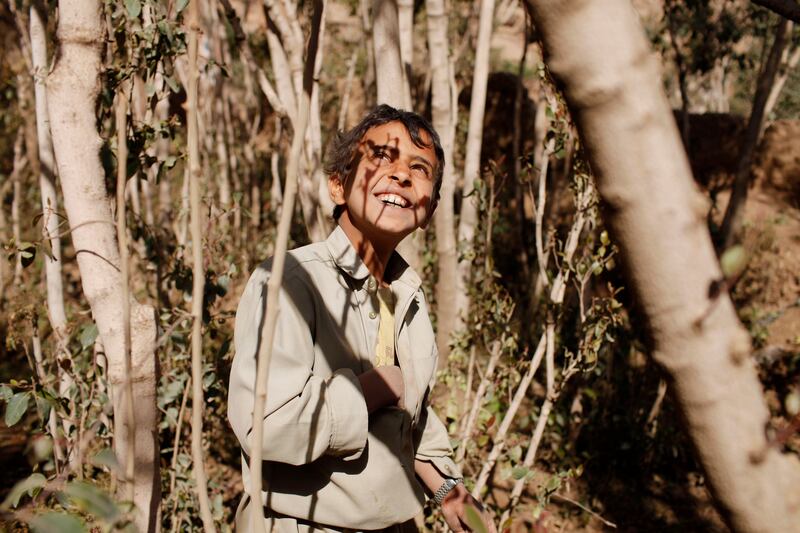 WADI DHAR, SANA'A, YEMEN - February 5, 2010: Yahya Yahya Mohesen Anuse, 12, picks qat (khat) from the families trees in Wadi Dhar, outside of Sana'a, Yemen. ( Ryan Carter / The National ) 

 *** Local Caption ***  al22fe-YemenOasis4.jpg