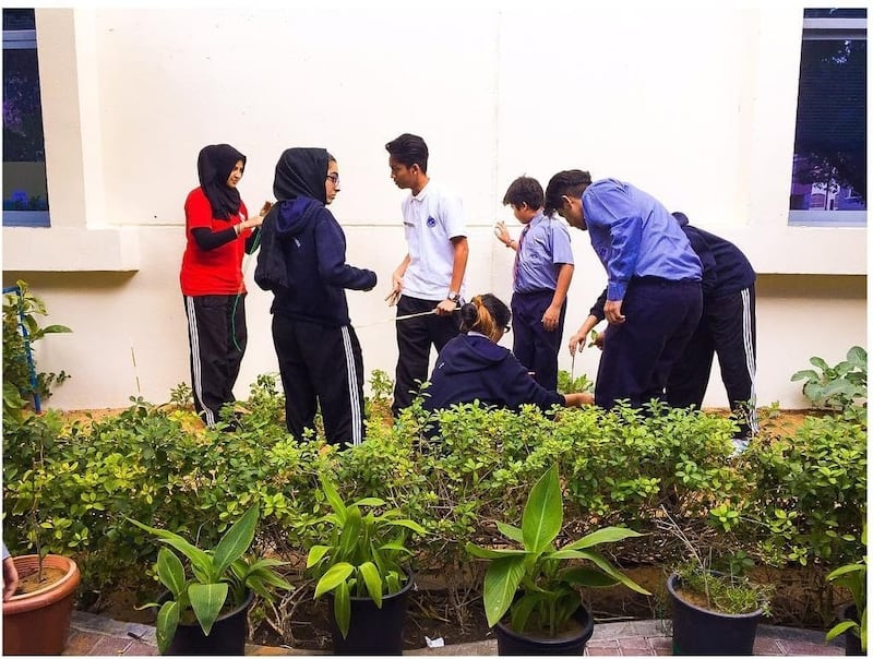 Pupils take part in a climate initiative. Photo: Pristine Private School