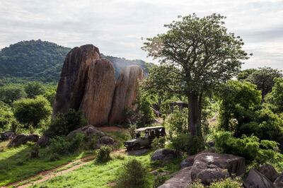 Game Drive at Jabali Ridge, Ruaha National Park. Photo by Ken Kochey