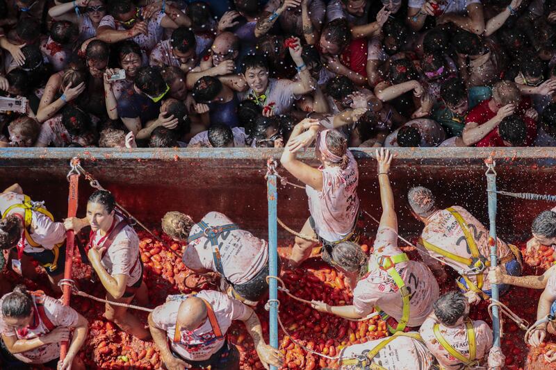 People take part in the traditional tomato-fight festival, La Tomatina, in Bunol, Spain. Every year, on the last Wednesday of August, thousands of people visit the small village to attend the Tomatina, a battle in which tonnes of ripe tomatoes are used. EPA 