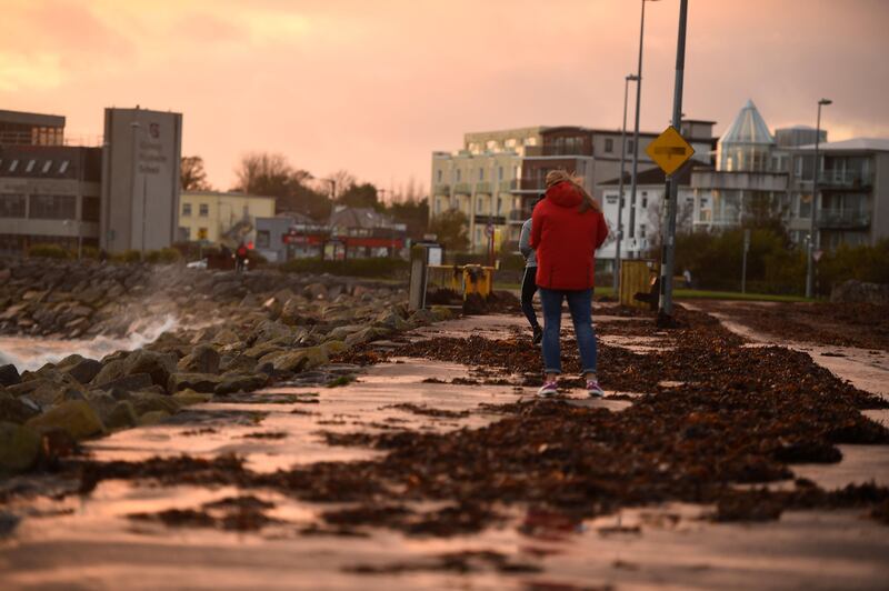 People walk on a seaweed-covered path during Storm Ophelia in Galway, Ireland. Clodagh Kilcoyne / Reuters