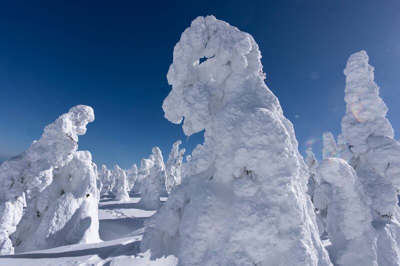 Snow-covered trees, known as 'snow monsters' or 'Juhyo' in Japanese, on Mount Zao in Yamagata, Japan. Getty