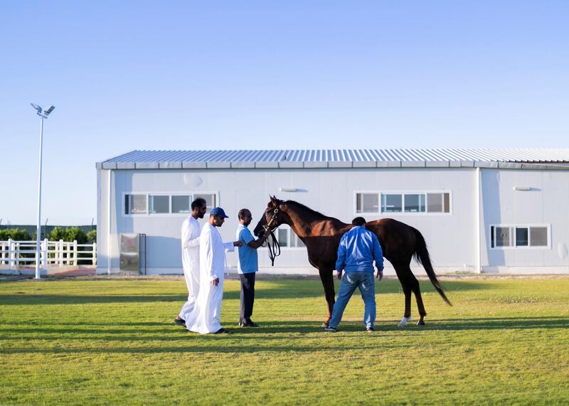 DUBAI, UNITED ARAB EMIRATES. 11 MARCH 2020. 
Emirati horse trainer Salem bin Ghadayer inspects the horses at Fazza Racing Stables.
(Photo: Reem Mohammed/The National)

Reporter:
Section:
