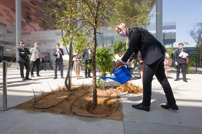 An acacia tree, local to the region, is planted to symbolise the completion of the French pavilion at the Dubai World Expo site.  Courtesy: France Pavilion