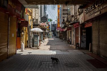A cat walks in a deserted market area during a weekend lockdown in New Delhi. New curbs to stem the spread of Covid-19 could cost India's economy $1.25bn a week, according to Barclays. AP Photo