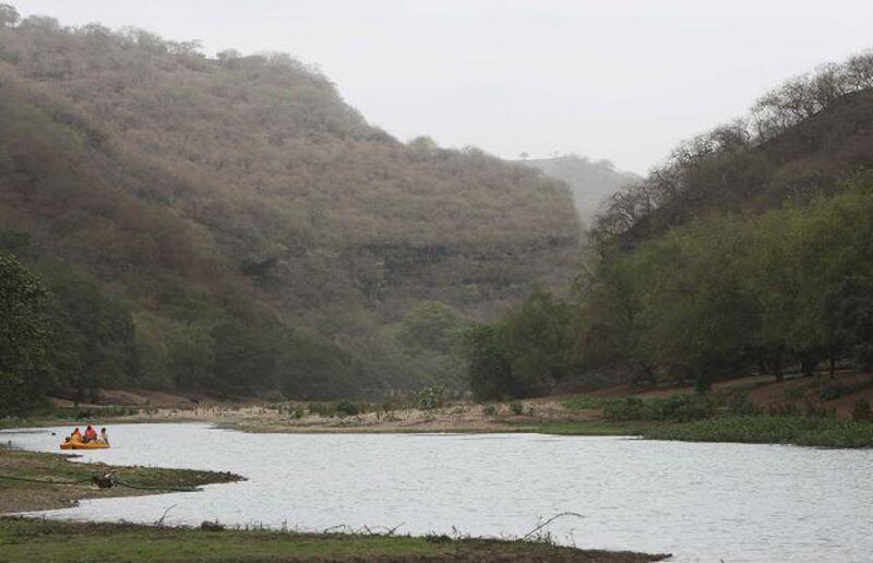 Wadi Dharbat, east of Salalah, has been fenced off to keep miscreants out.