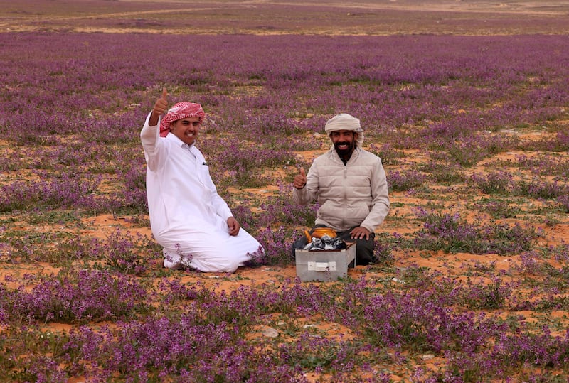 Visitors make a cup of tea in a stretch of desert covered with blooms, near Rafha