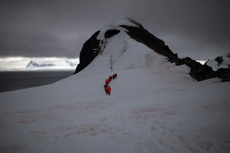 Greenpeace activists take a walk along the snow during a day off at Orne Harbor, Antarctica. REUTERS