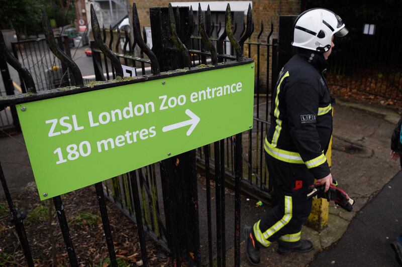 A firefighter leaves the area after a fire destroyed a number of buildings at London Zoo. Leon Neal / Getty Images.