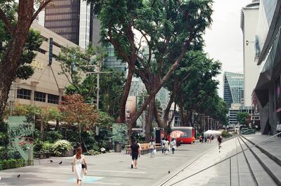 Behind Orchard Road's gleaming skyscrapers is a trove of history. Photo: Unsplash