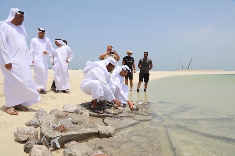 A pilot project will see 10 to 15 artificial tidal pools built of the coast of Ras al Khaimah. Courtesy: @ThaniAlZeyoudi