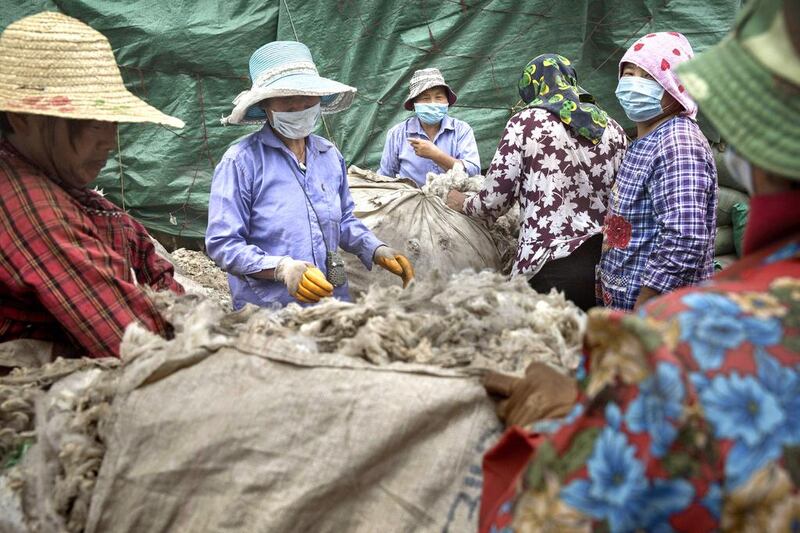 Workers sort sheep’s wool before it is processed and bleached. Kevin Frayer / Getty Images