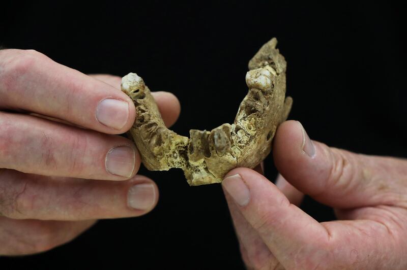 Tel Aviv University Professor Israel Hershkovitz, holds what scientists say is a piece of fossilised bone of a previously unknown kind of early human discovered at the Nesher Ramla site in central Israel, during an interview with Reuters at The Steinhardt Museum of Natural History in Tel Aviv, Israel June 23, 2021. Picture taken June 23, 2021. REUTERS/Ammar Awad