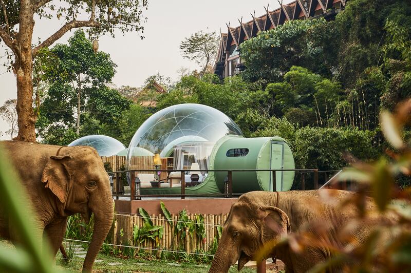 Anantara has set up four transparent, interconnected spherical structures, crafted from a high-tech polyester