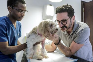 Samer Ol-Ogidi has thanked vets for abandoning Eid holiday plans to treat his pet, Yoko, after a brutal street attack by a larger dog. Victor Besa/The National