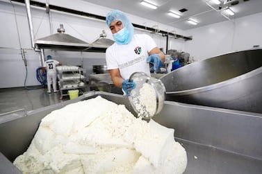 The factory produces more than 420 tonnes of cheese each year. Chris Whiteoak / The National   