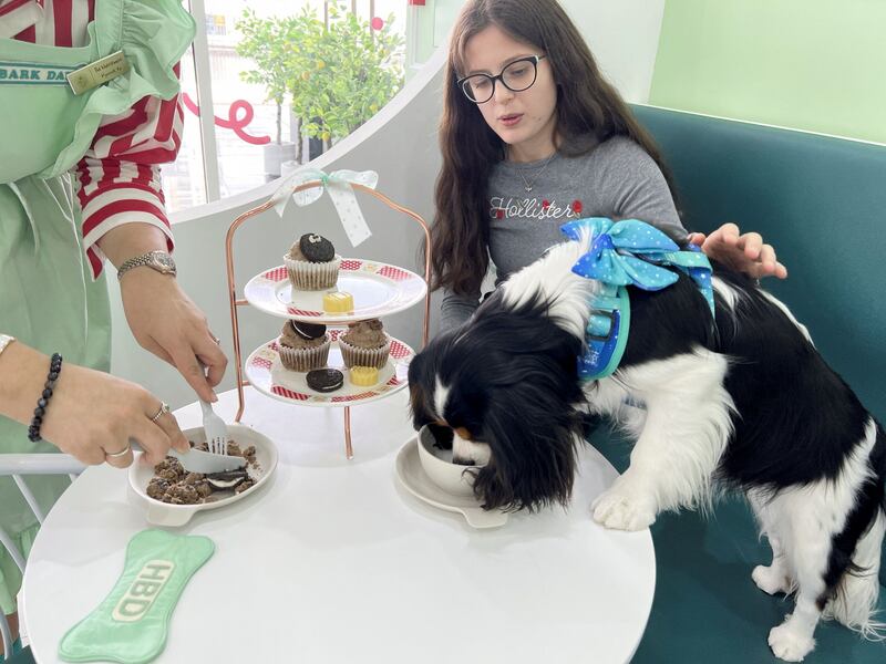 Victoria Kirkwood, 15, takes her dog Ralphie for a meal at the cafe. Reuters