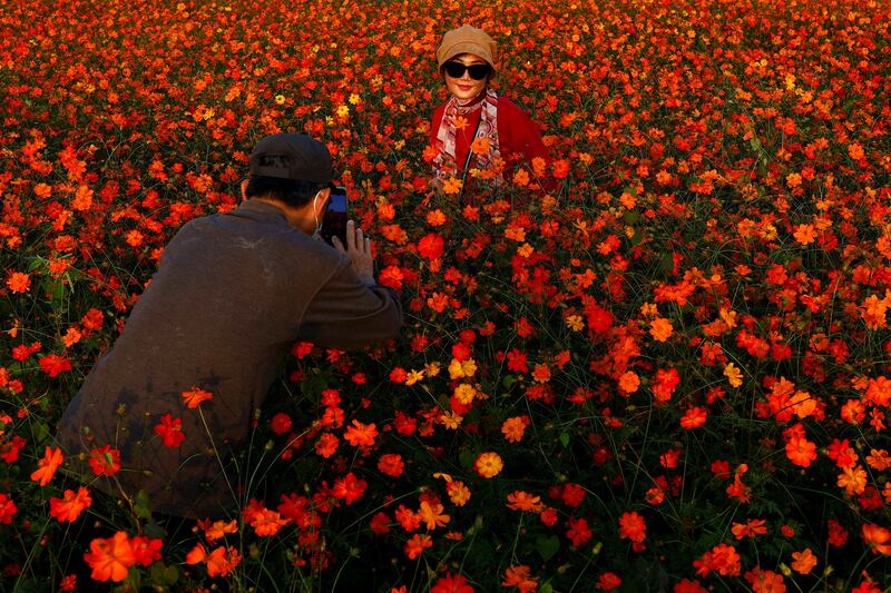 People take a picture in a field of flowers in Kaohsiung, Taiwan. Reuters