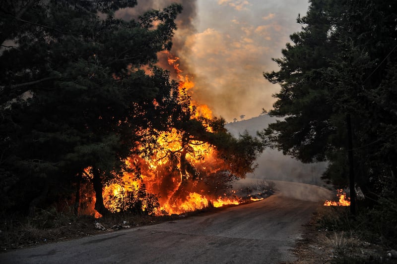 Trees on fire in Latakia in 2020. Reuters
