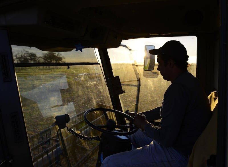 A farmer drives his tractor during the soybean harvest at a farm near Salto, in the north of Buenos Aires province, Argentina, on Sunday, May 26, 2013. Argentina is expected to increase total agricultire-related exports to $4.8 billion in 2013, according to a report last month by JPMorgan Chase & Co. Photographer: Diego Giudice/Bloomberg