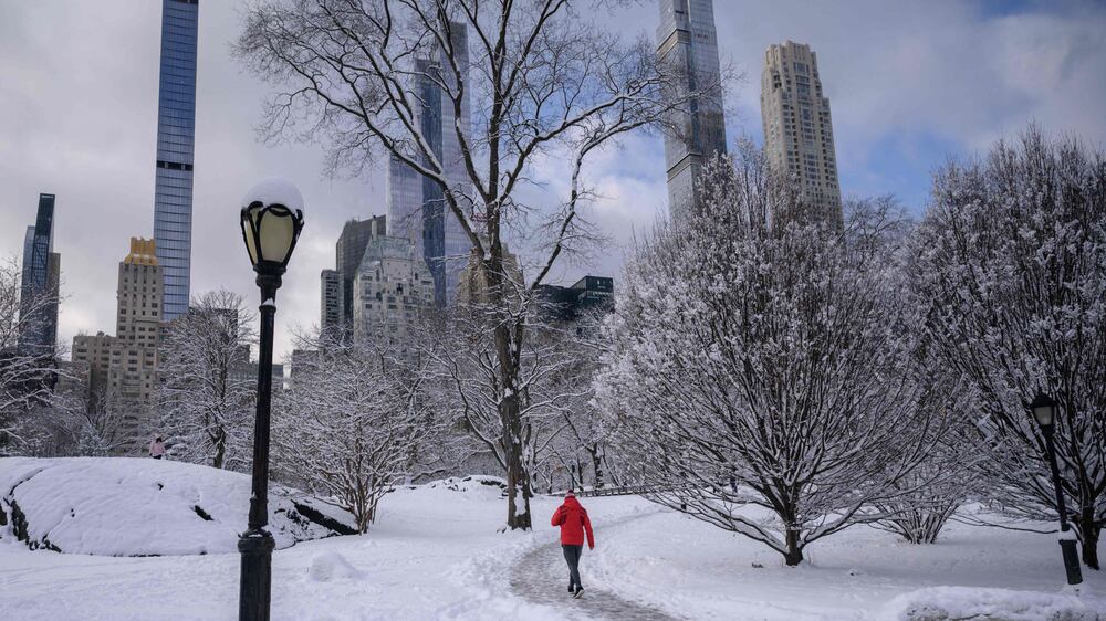 A person walks beneath snow-covered trees in Central Park after the first snow storm of the season on January 7, 2022 in New York City.  (Photo by Ed JONES  /  AFP)