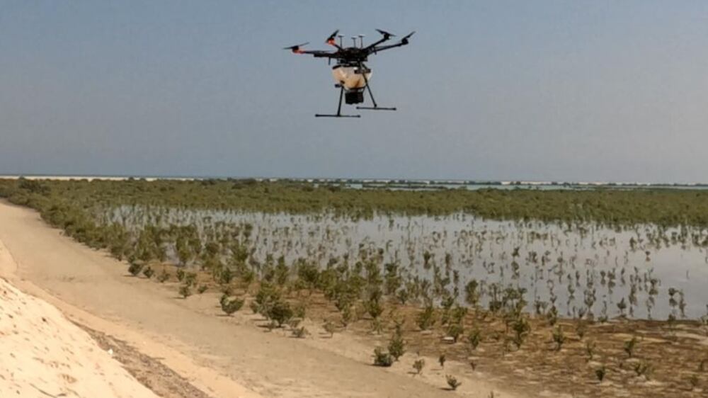 Abu Dhabi uses drones to plant one million mangrove seeds