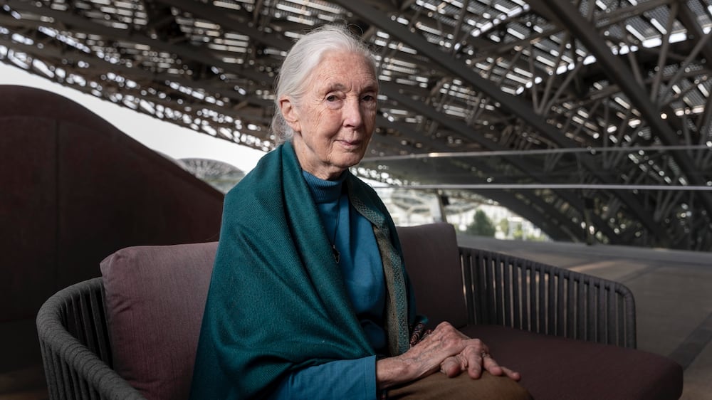 Jane Goodall's Roots & Shoots opens in Expo City Dubai