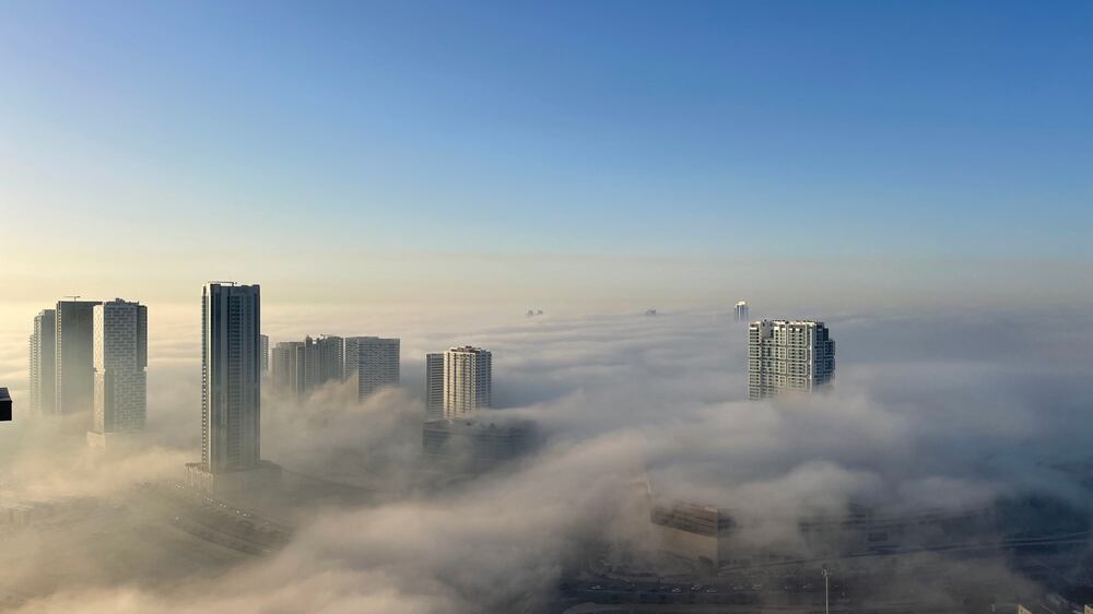 Thick fog reduces visibility in Abu Dhabi