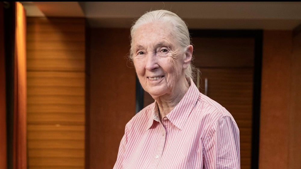 Groundbreaking scientist Jane Goodall talks to The National