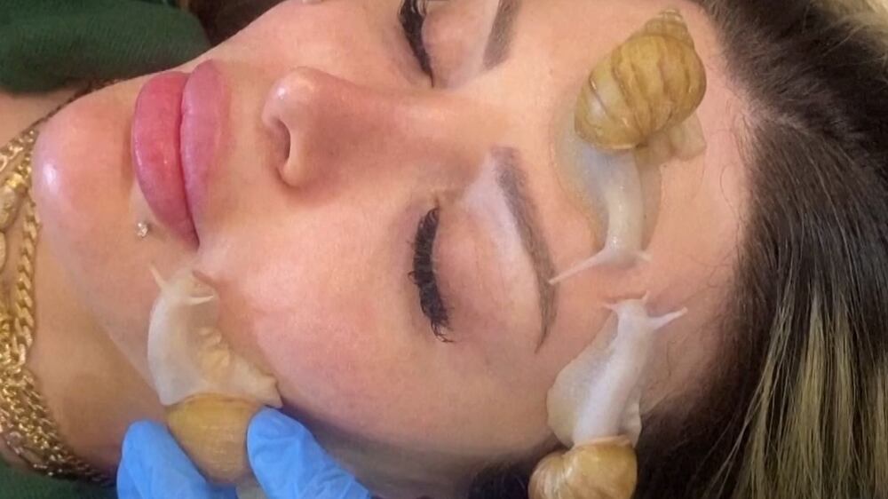 Snails slither their way on to Syria's skincare scene