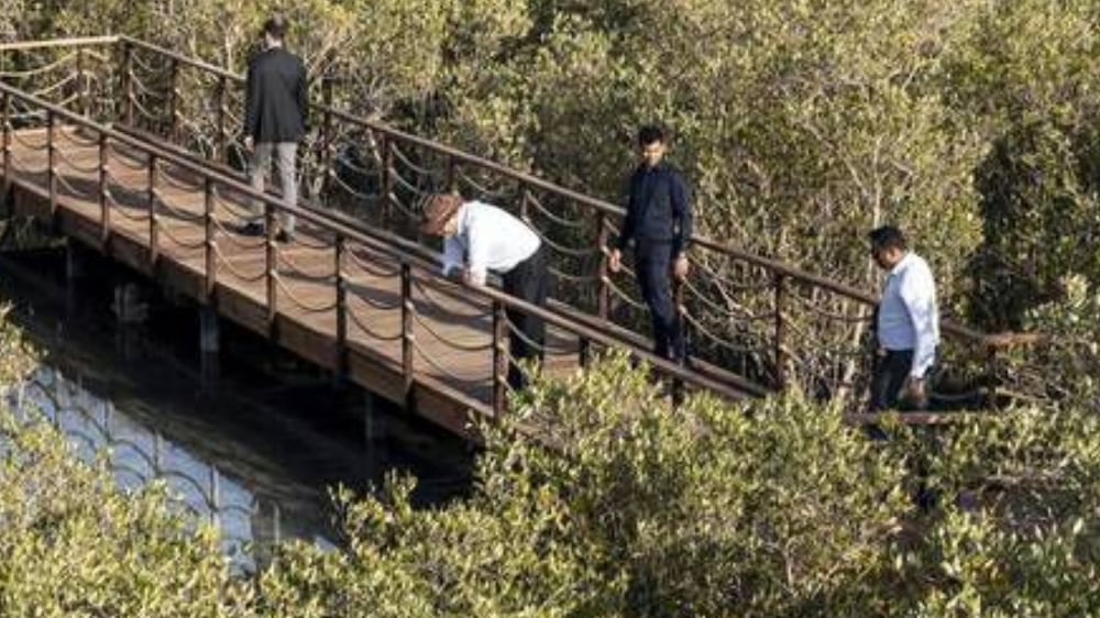 The Jubail Mangrove Park is located on Abu Dhabi's Al Jubail Island