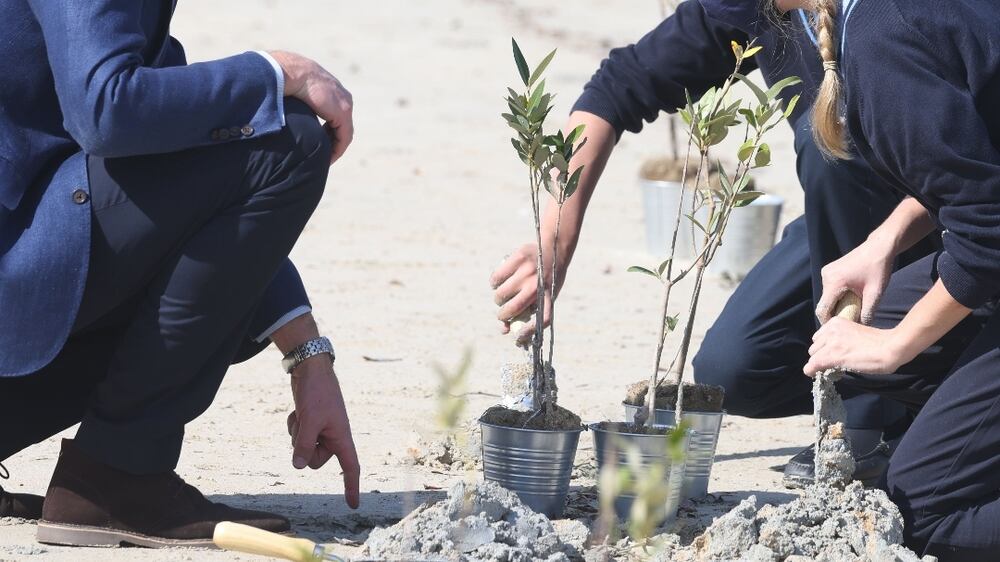 Prince William plants trees with children in Abu Dhabi