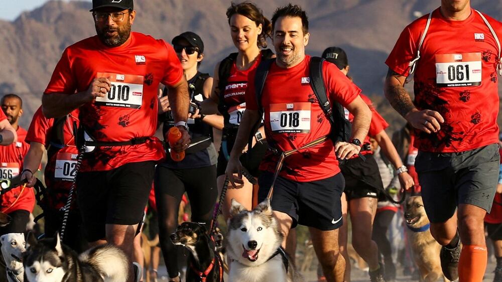 Run with your dog: this is the UAE's first Canicross race