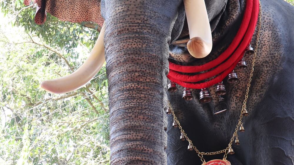 Mechanised elephant replaces captive animals in Indian temple