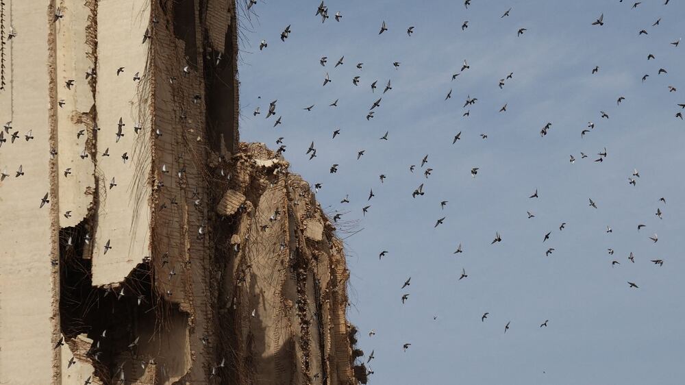 A flock of birds flies past Beirut port's damaged grain silos, a year and a half after a deadly explosion there killed more than 200 people and destroyed large parts of the Lebanese capital. - French shipping giant CMA CGM won today a 10-year contract beginning in March to run the container terminal at Beirut port, Lebanon's public works and transport minister said. The contract will provide the cash-strapped state "tens of millions of dollars" every year, he said, adding that authorities chose the French company over its UAE-based competitor Gulftainer because it offered a better rate and more favourable conditions. (Photo by ANWAR AMRO / AFP)