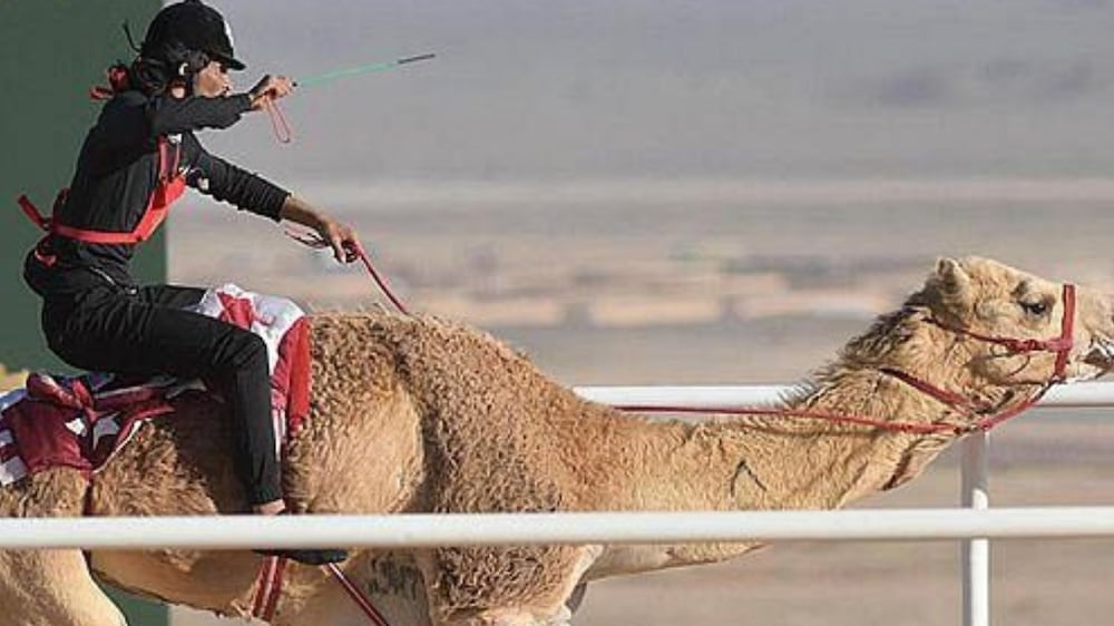 Camels race through Saudi desert as jockeys eye $21 million prize pool