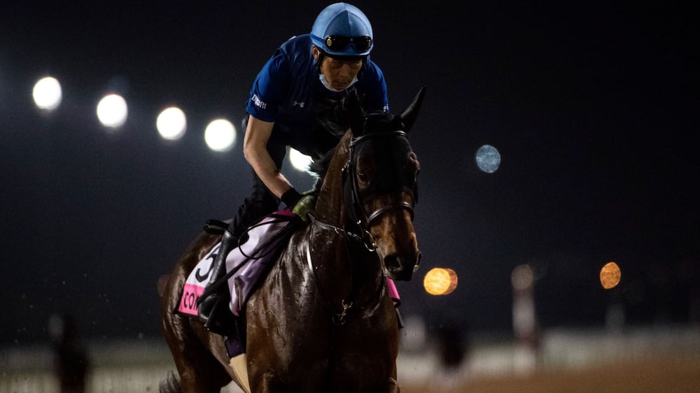 Racehorses gear up for the Dubai World Cup