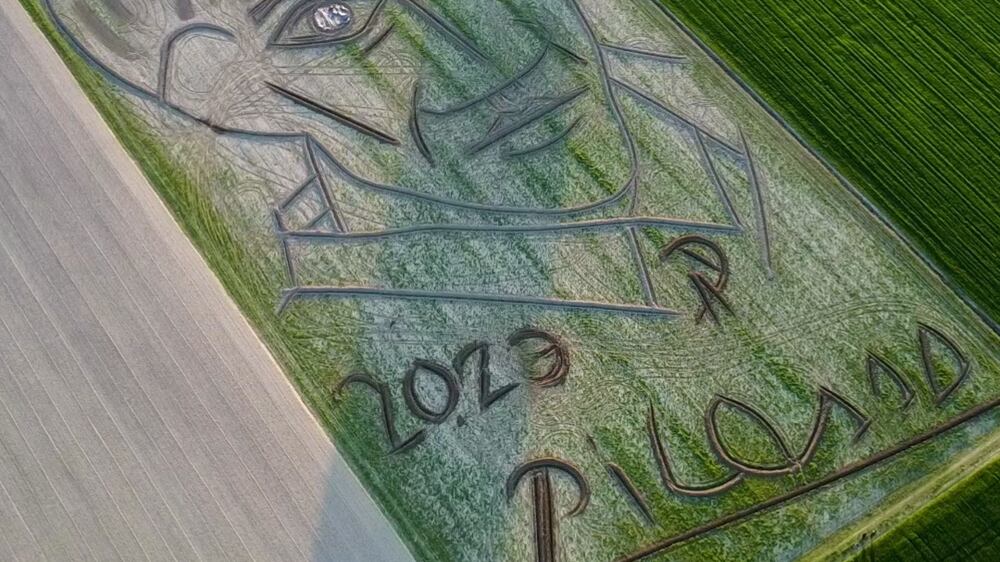 An aerial view of the land artwork made by artist Dario Gambarin, as a homage to Pablo Picasso, in Castagnaro, Italy April 5, 2023, in this screengrab taken from a handout video.  Dario Gambarin/Handout via REUTERS    THIS IMAGE HAS BEEN SUPPLIED BY A THIRD PARTY NO RESALES.  NO ARCHIVES.  MANDATORY CREDIT
