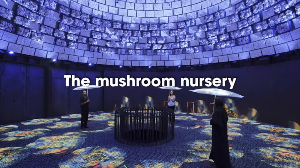 The mushroom nursery in the Netherlands Expo pavilion